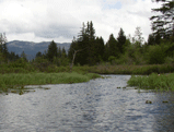 River of Golden Dreams