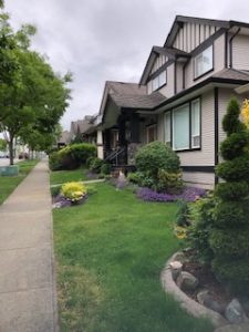 Clayton houses